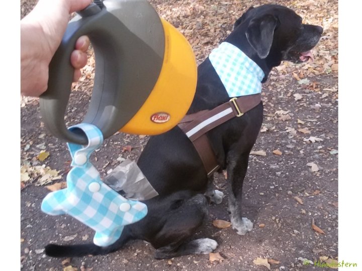 WALKIES BONE V1 Kotbeuteltasche, mit Beleg. Nähanleitung+Schnitt