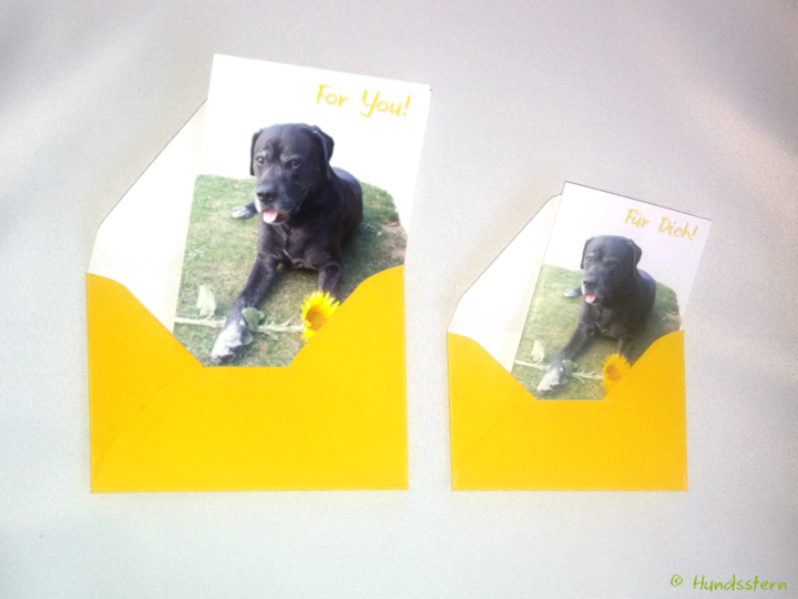 For You! Card+Envelope C7,C8 template+instructions