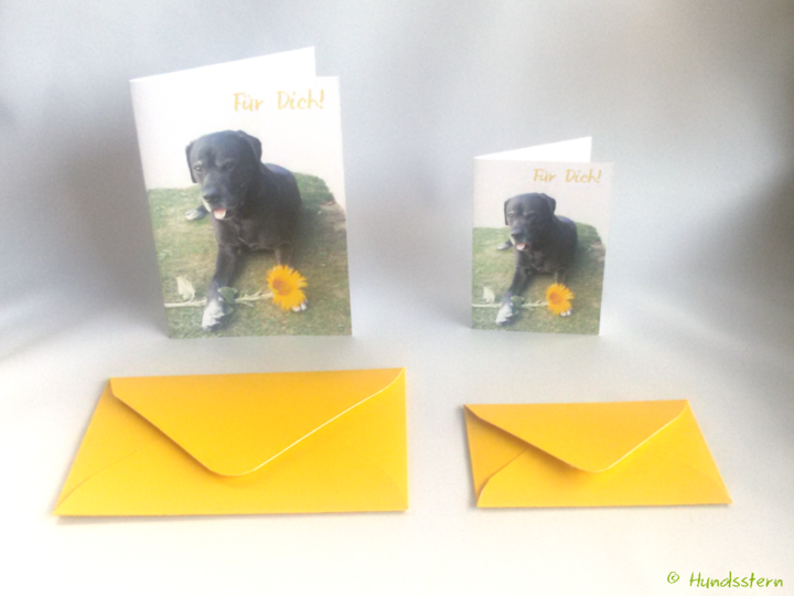 For You! Card+Envelope C7,C8 template+instructions
