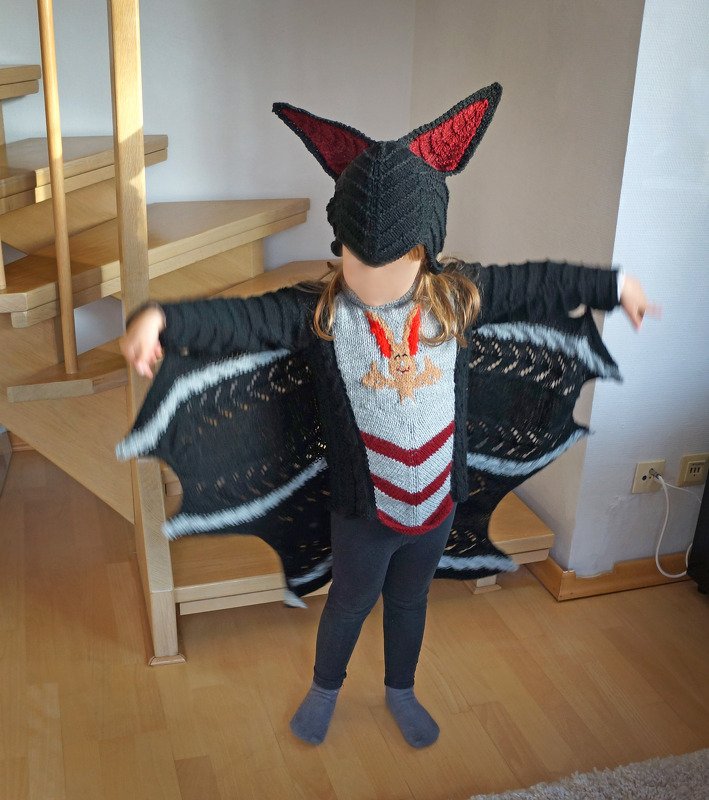 (Fledermaus) Flügel