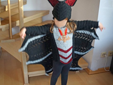 (Fledermaus) Flügel