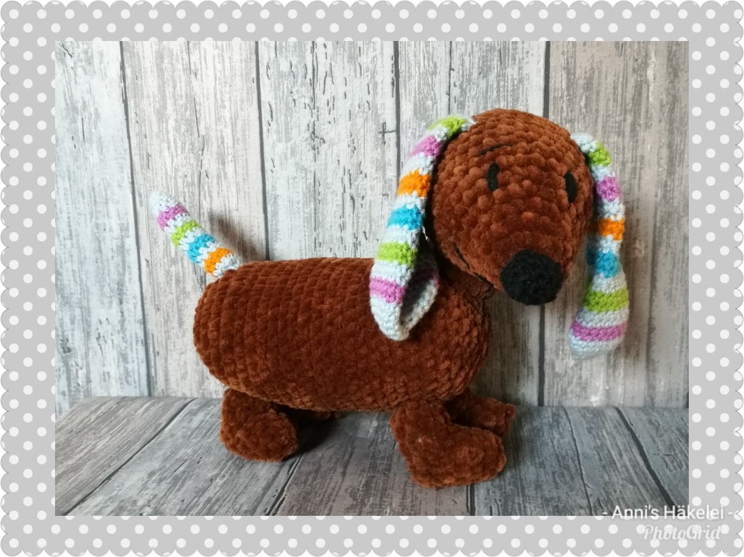 Sir Henry der pfiffige Dackel oder ein Freund fürs Leben :-) - Bild 3