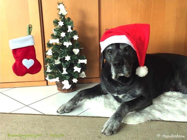 NICK V2 Christmas Stocking, 3 sizes, sewing pattern