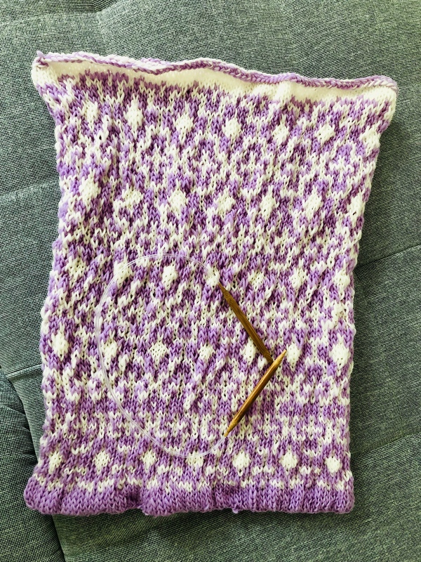 Zweifarbige Strickprobe in Lila und Weiß mit einer Holz-Rundstricknadel für Strickfilzen