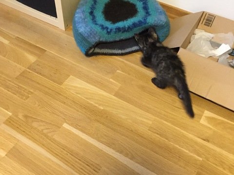 Häkel-Filz Katzenhöhle , Katzenkorb ,Kuschelhöhle