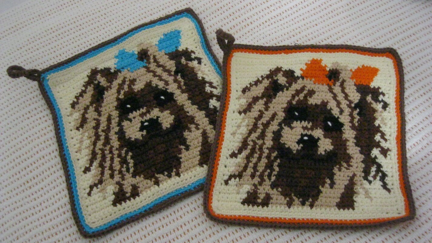 Yorkshire Topflappen - Bild 2