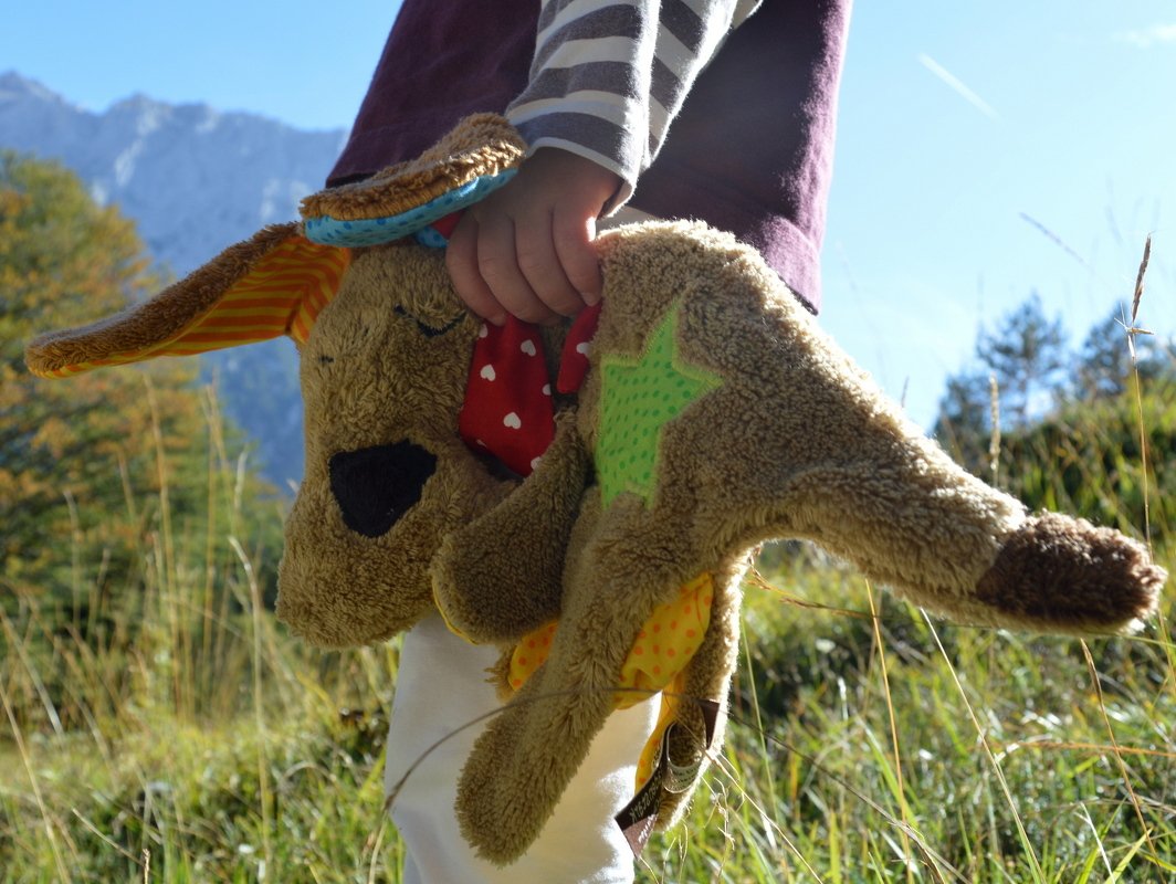 E-Book Hund Wacki - Nähanleitung und Schnittmuster