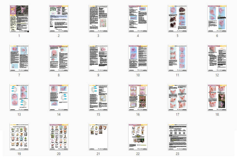 193DE Häkelanleitung Ferkel Fima - Amigurumi PDF Pertseva CP