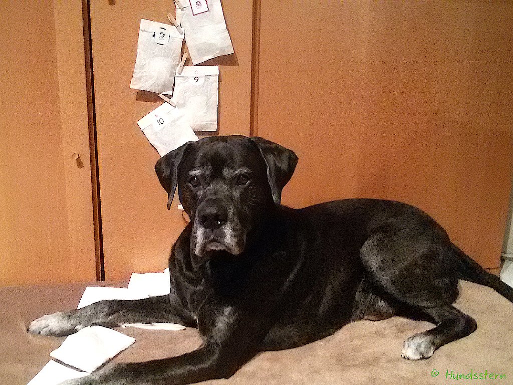 24 Stickers for advent calendars in 4 designs - Image 6