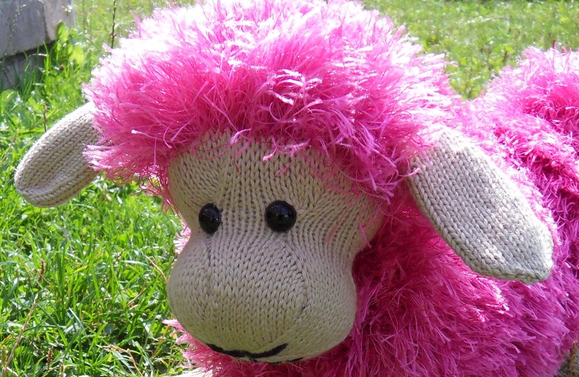 Schaf  Schmusekissen