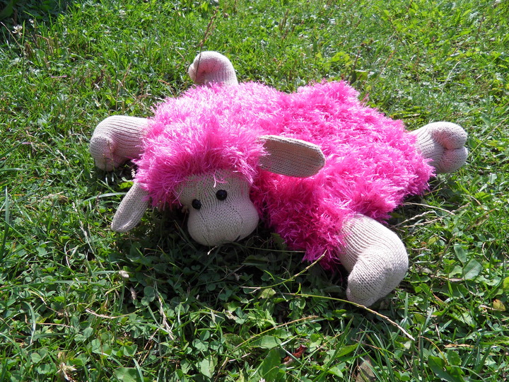 Schaf  Schmusekissen