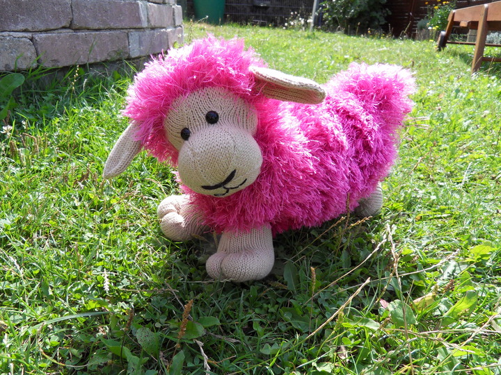 Schaf  Schmusekissen