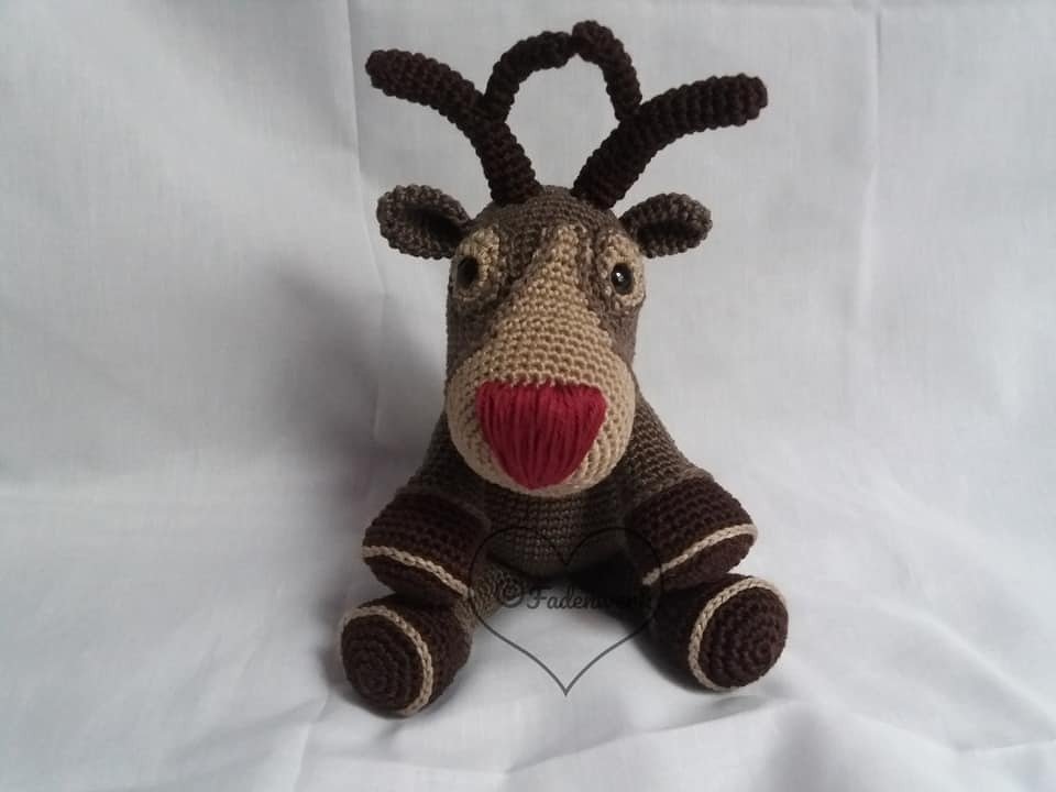 Rentier Horst - Bild 3