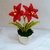 Amaryllis - Weihnachtsblume - Häkelanleitung