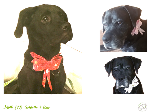 JANE Schleife für Hunde in 3 Größen. Nähanleitung+Schnitt