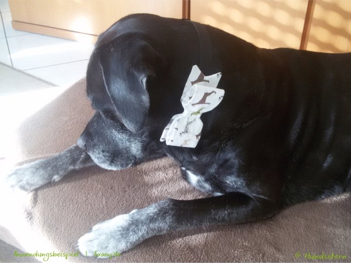 JANE Bow for Dog Collar in 3 sizes- Sewing Pattern