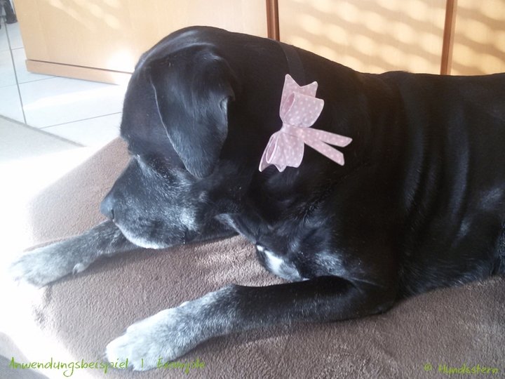 JANE Bow for Dog Collar in 3 sizes- Sewing Pattern