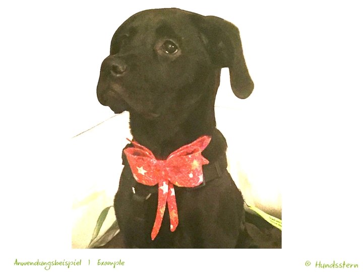 JANE Bow for Dog Collar in 3 sizes- Sewing Pattern
