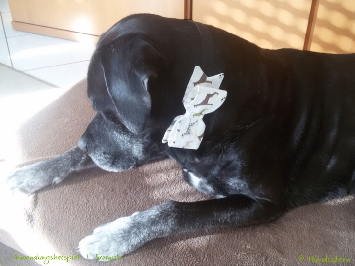 JANE Schleife für Hunde in 3 Größen. Nähanleitung+Schnitt