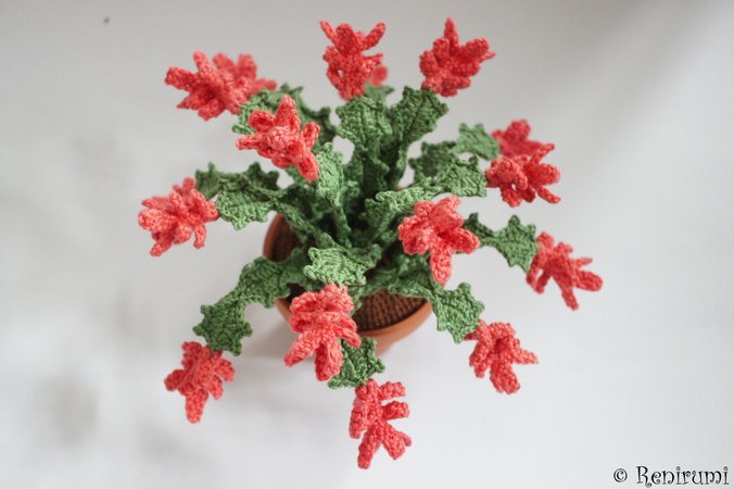 Crochet pattern Christmas Cactus