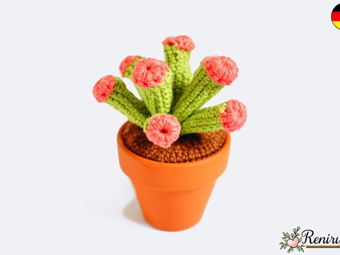 Häkelanleitung Kaktus
