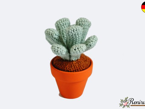 Häkelanleitung Kaktus