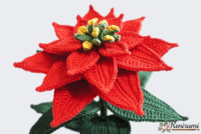 Crochet pattern Cutflower Poinsettia