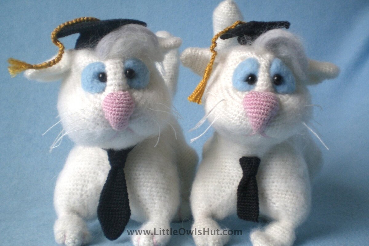 055 Crochet Pattern - Clever Cat with hat and tie - Amigurumi toy with wire frame PDF file by Astashova CP