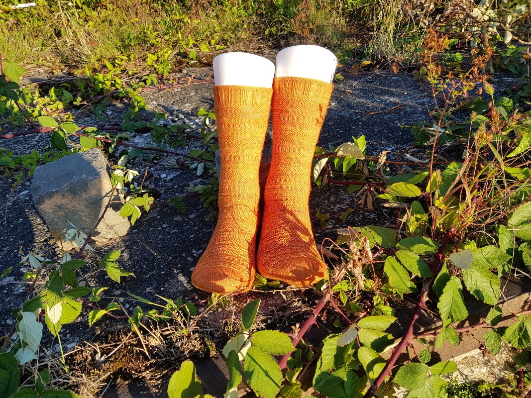 Zwei orange gestrickte Herrensocken auf weißen Formleisten vor Betonboden und grünen Pflanzen