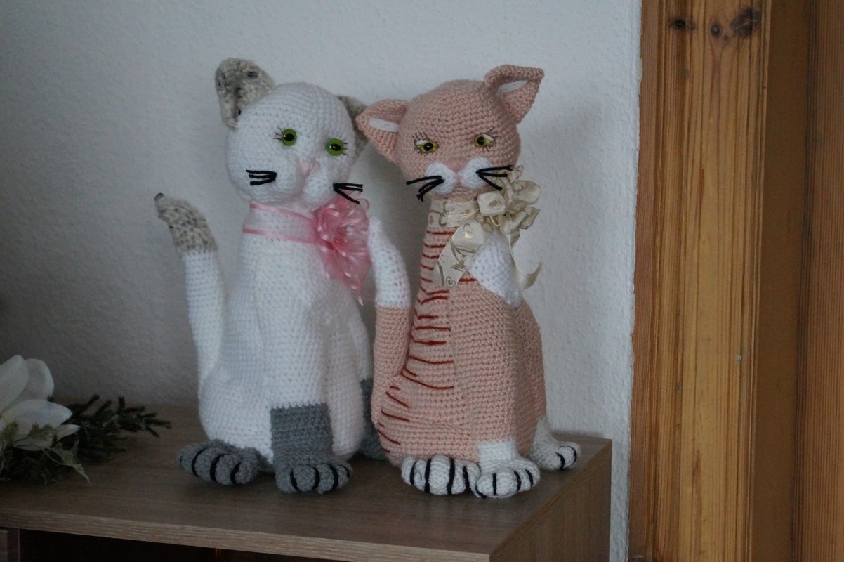 Schnorri -  Dekokatze