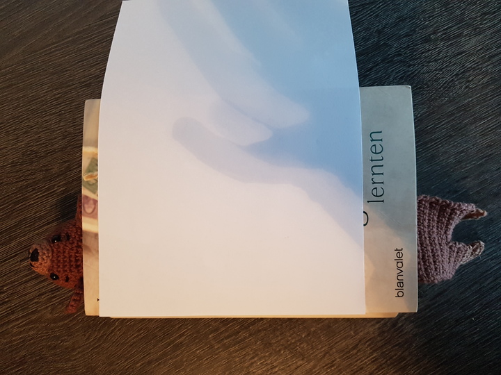 Lesezeichen Otto der Bär