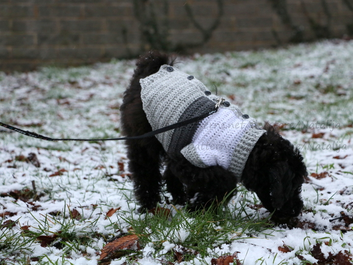 Hundepullover in 3 Größen - Häkelanleitung