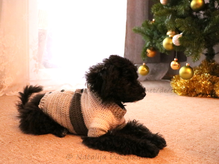 Hundepullover in 3 Größen - Häkelanleitung