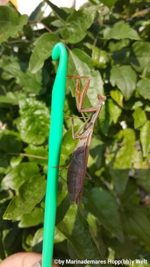 Granny, Topflappen,  Kissenhülle...Muster "Rahala"