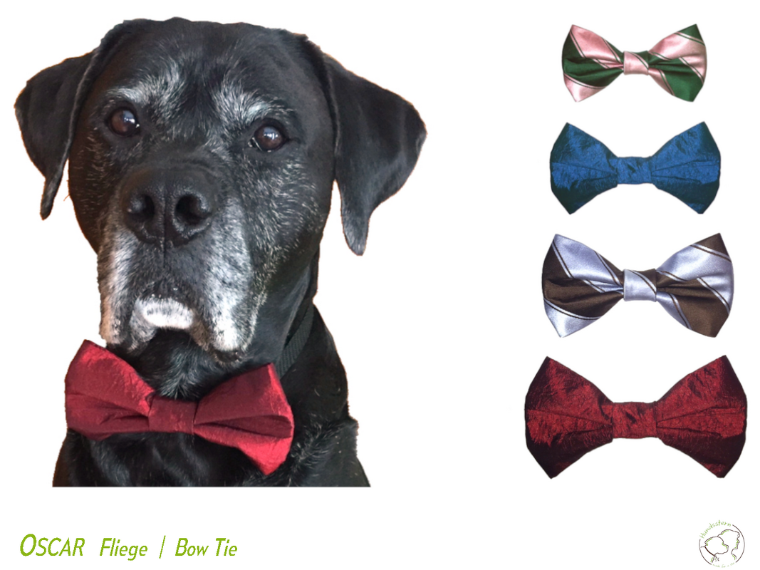 Oscar Fliege für Hunde 4 Gr. Nähanleitung+Schnitt