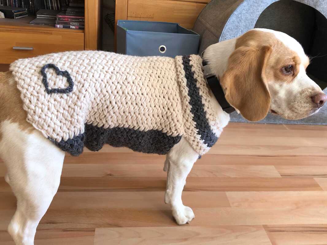 Strickanleitung Hundepullover in drei Größen - Bild 3