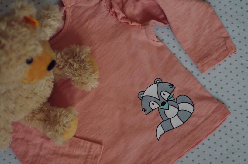 Waschbär Winnie Plotterdatei