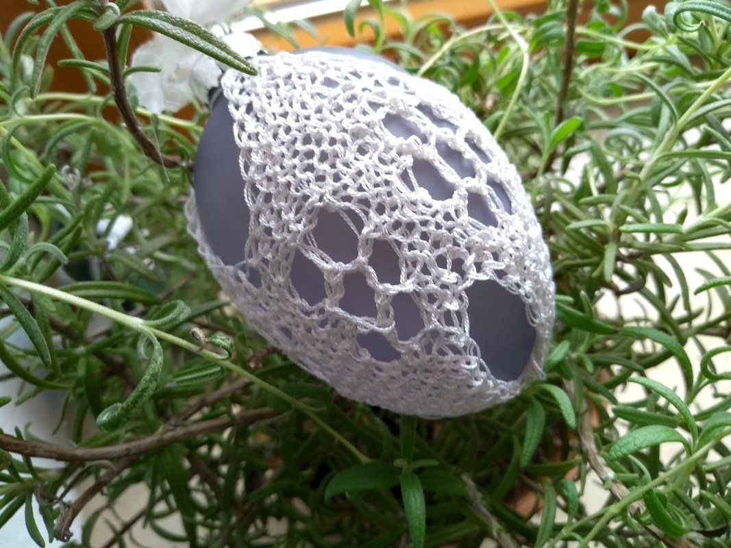 Ei mit feinem Spitzenüberzug aus Garn in einer Pflanze