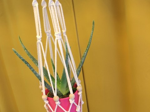 Makramee Pflanzenaufhänger DIY