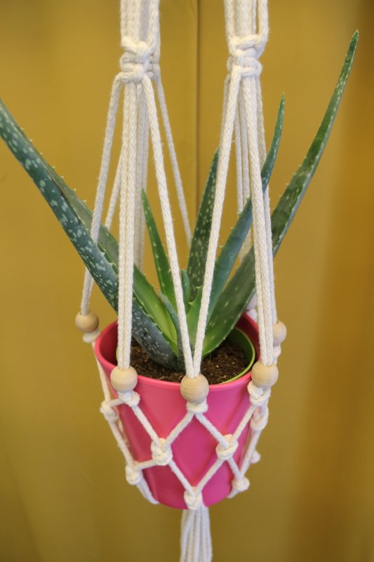 Macrame Plant Hanger DIY - Image 4