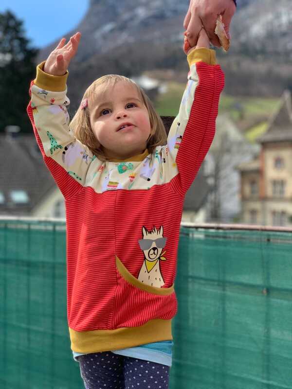 Lilou Lama Plotterdatei - Bild 7