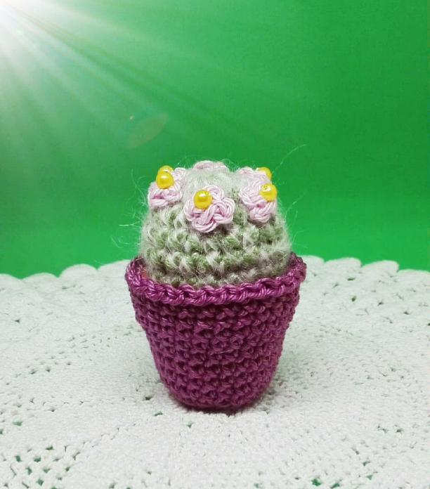 Häkelanleitung Mini-Kaktus - Bild 2