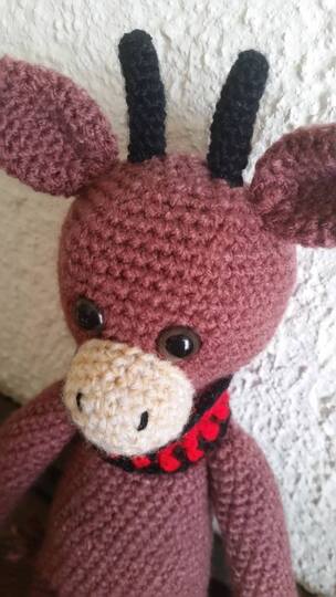 Motus der Motivationsstier