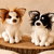 Crochet pattern for a sitting Chihuahua amigurumi dog