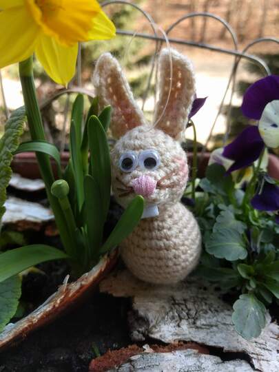 Anleitung Kleines Hängehäschen