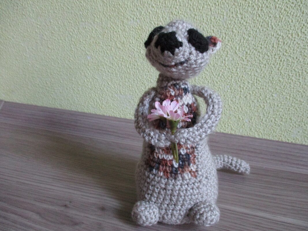 " Felix " und " Bruno " die kleinen Erdmännchen - Bild 2