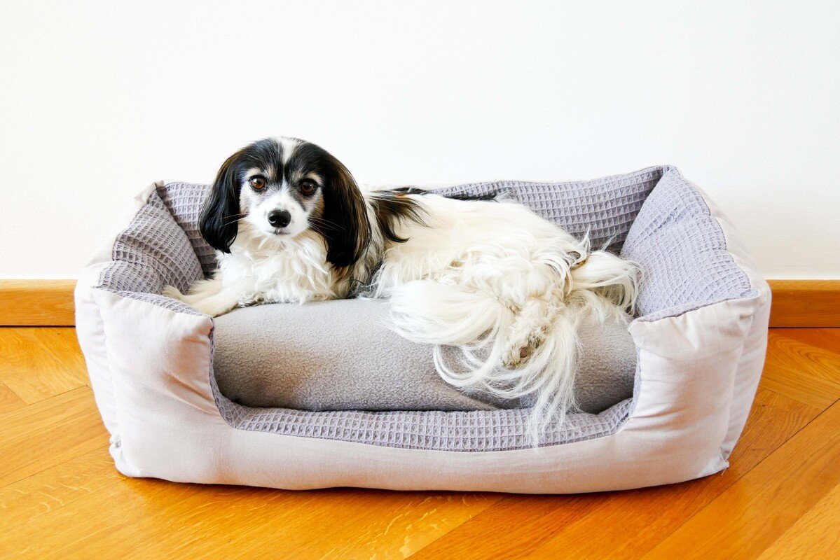 Nähanleitung Hunde-/Katzenbett