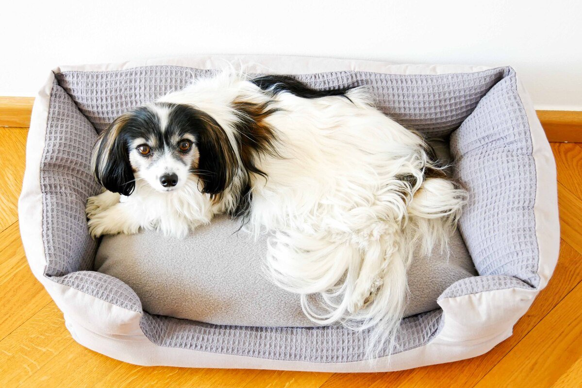 Nähanleitung Hunde-/Katzenbett - Bild 5