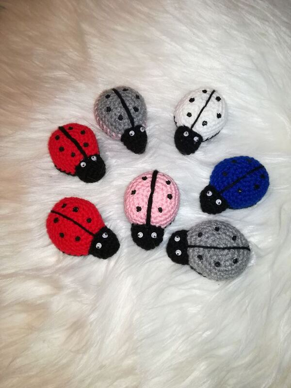 Glück´s Käfer - Bild 2