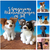 Häkelanleitung-Set 5 Amigurumi Hunde, Chihuahua, französische Bulldogge, Jack Russell Terrier, Labrador